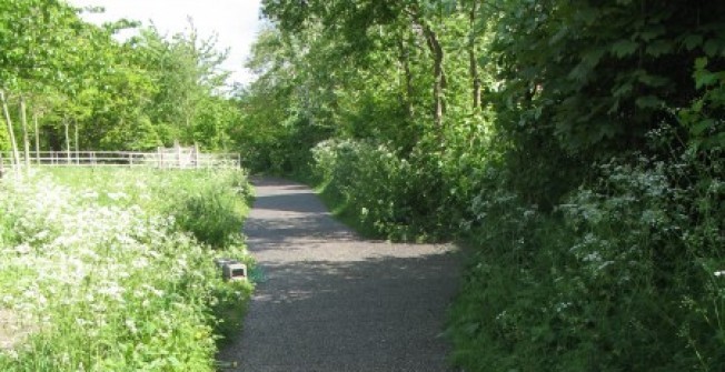 Rhino Pave Pathway in Aird
